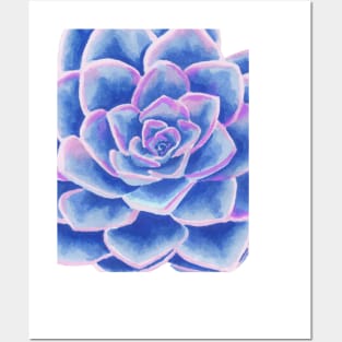 Purple Succulent Posters and Art